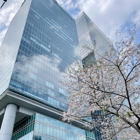 結婚相談所は「実績」でお選び下さい